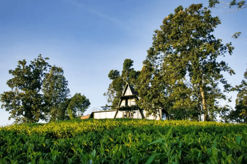 Dethanagala A-Frame Lodge