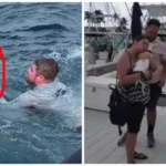 boaters rescue dog in the middle of the ocean